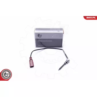 Capteur, température des gaz ESEN SKV