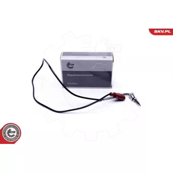 Capteur, température des gaz ESEN SKV 30SKV384