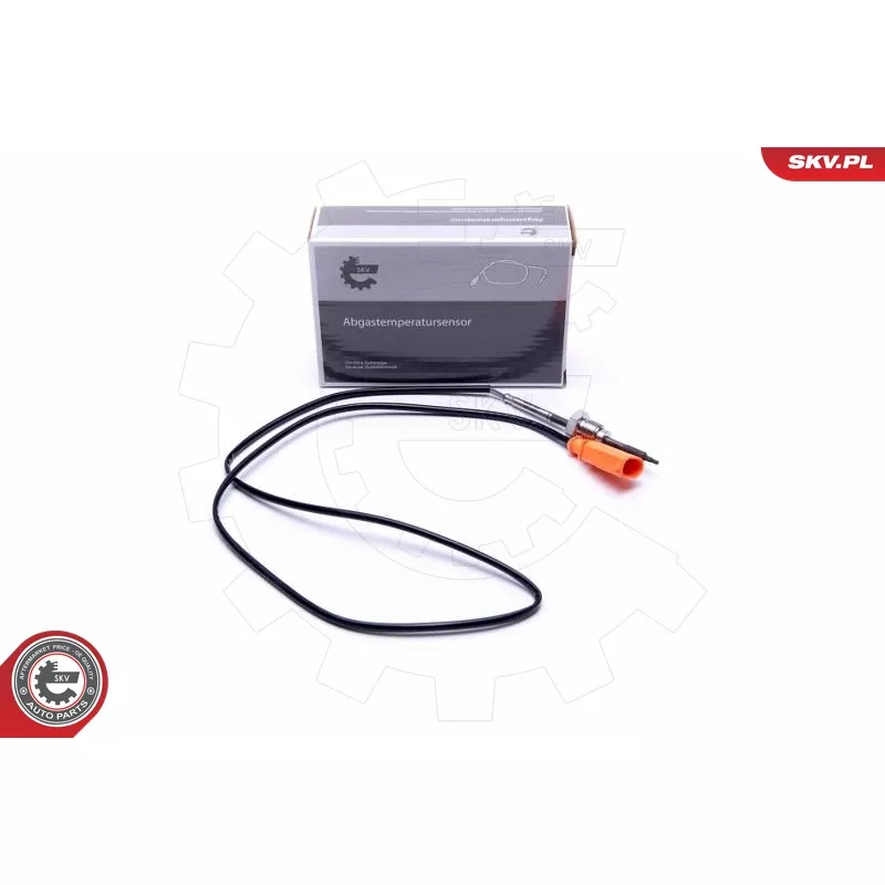 Capteur, température des gaz ESEN SKV 30SKV385