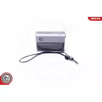 Capteur, température des gaz ESEN SKV 30SKV386