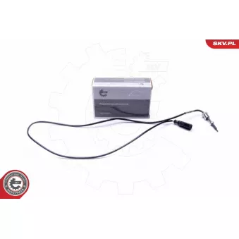 Capteur, température des gaz ESEN SKV