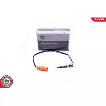 Capteur, température des gaz ESEN SKV 30SKV391