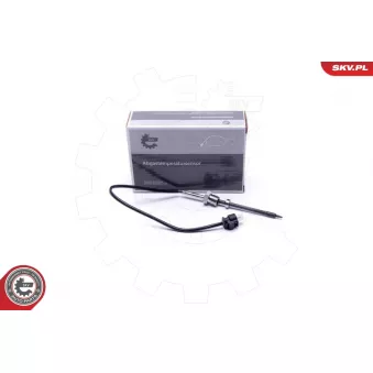 Capteur, température des gaz ESEN SKV 30SKV393