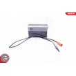 Capteur, température des gaz ESEN SKV 30SKV394 - Visuel 1