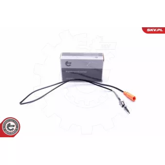 Capteur, température des gaz ESEN SKV 30SKV394