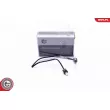 Capteur, température des gaz ESEN SKV 30SKV396 - Visuel 1