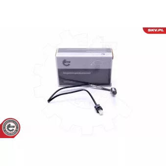 Capteur, température des gaz ESEN SKV 30SKV396