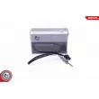 Capteur, température des gaz ESEN SKV 30SKV399 - Visuel 1