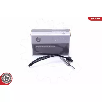 Capteur, température des gaz ESEN SKV 30SKV399
