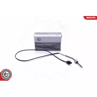 Capteur, température des gaz ESEN SKV 30SKV402