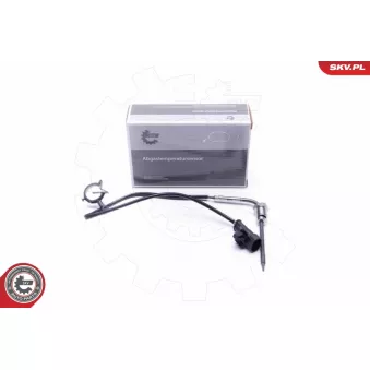 Capteur, température des gaz ESEN SKV 30SKV405