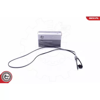 Capteur, température des gaz ESEN SKV 30SKV406