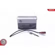 Capteur, température des gaz ESEN SKV 30SKV407 - Visuel 1