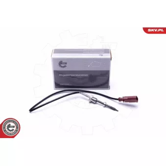 Capteur, température des gaz ESEN SKV 30SKV407