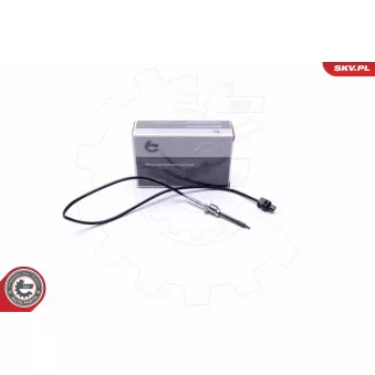Capteur, température des gaz ESEN SKV 30SKV409