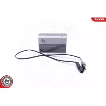 Capteur, température des gaz ESEN SKV