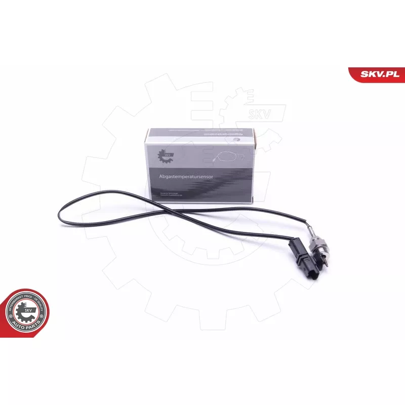 Capteur, température des gaz ESEN SKV 30SKV411