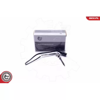 Capteur, température des gaz ESEN SKV 30SKV414