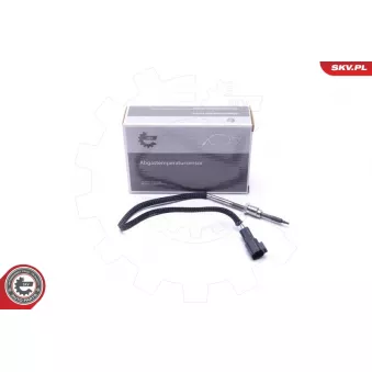 Capteur, température des gaz ESEN SKV 30SKV416