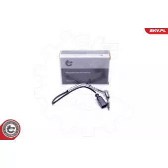 Capteur, température des gaz ESEN SKV 30SKV417
