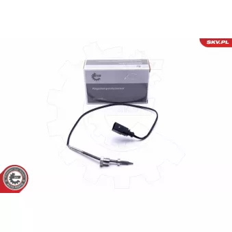 Capteur, température des gaz ESEN SKV 30SKV419