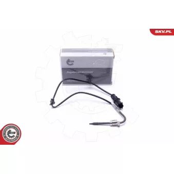 Capteur, température des gaz ESEN SKV 30SKV420