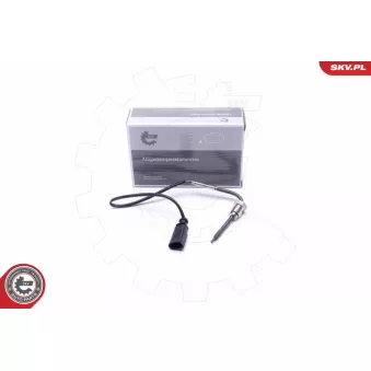 Capteur, température des gaz ESEN SKV 30SKV421