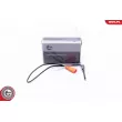 Capteur, température des gaz ESEN SKV 30SKV423 - Visuel 1