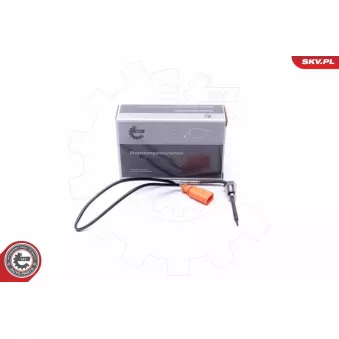 Capteur, température des gaz ESEN SKV 30SKV423