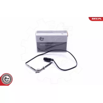 Capteur, température des gaz ESEN SKV