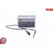 Capteur, température des gaz ESEN SKV 30SKV425 - Visuel 1