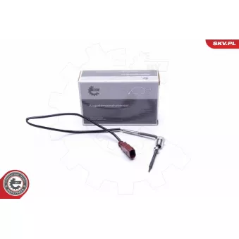 Capteur, température des gaz ESEN SKV