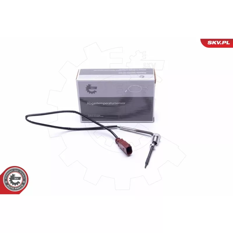 Capteur, température des gaz ESEN SKV 30SKV425
