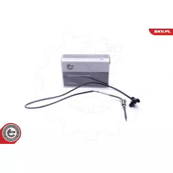 Capteur, température des gaz ESEN SKV 30SKV427