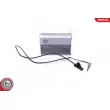 Capteur, température des gaz ESEN SKV 30SKV428 - Visuel 1