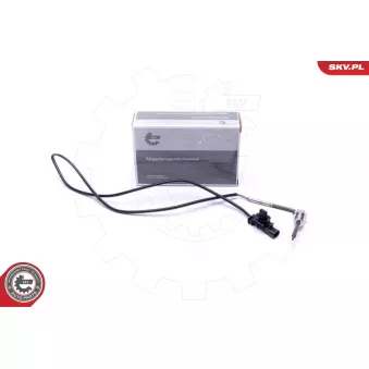 Capteur, température des gaz ESEN SKV 30SKV428