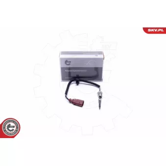 Capteur, température des gaz ESEN SKV 30SKV429