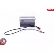Capteur, température des gaz ESEN SKV 30SKV430 - Visuel 1