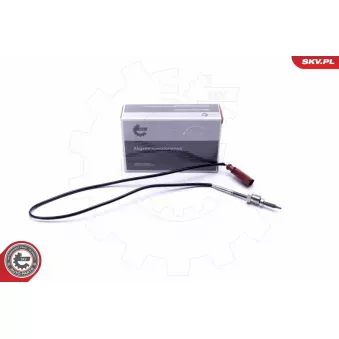 Capteur, température des gaz ESEN SKV 30SKV430