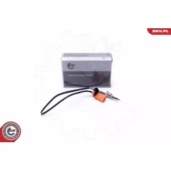 Capteur, température des gaz ESEN SKV 30SKV431