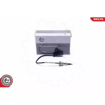 Capteur, température des gaz ESEN SKV 30SKV432