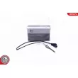 Capteur, température des gaz ESEN SKV 30SKV433 - Visuel 1