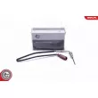 Capteur, température des gaz ESEN SKV 30SKV434 - Visuel 1
