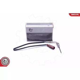Capteur, température des gaz ESEN SKV 30SKV434