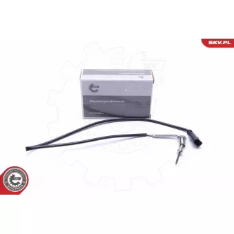 Capteur, température des gaz ESEN SKV 30SKV436