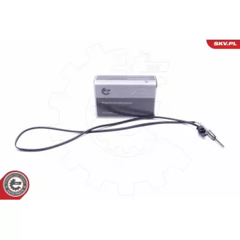 Capteur, température des gaz ESEN SKV 30SKV437