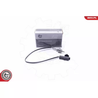 Capteur, température des gaz ESEN SKV 30SKV438