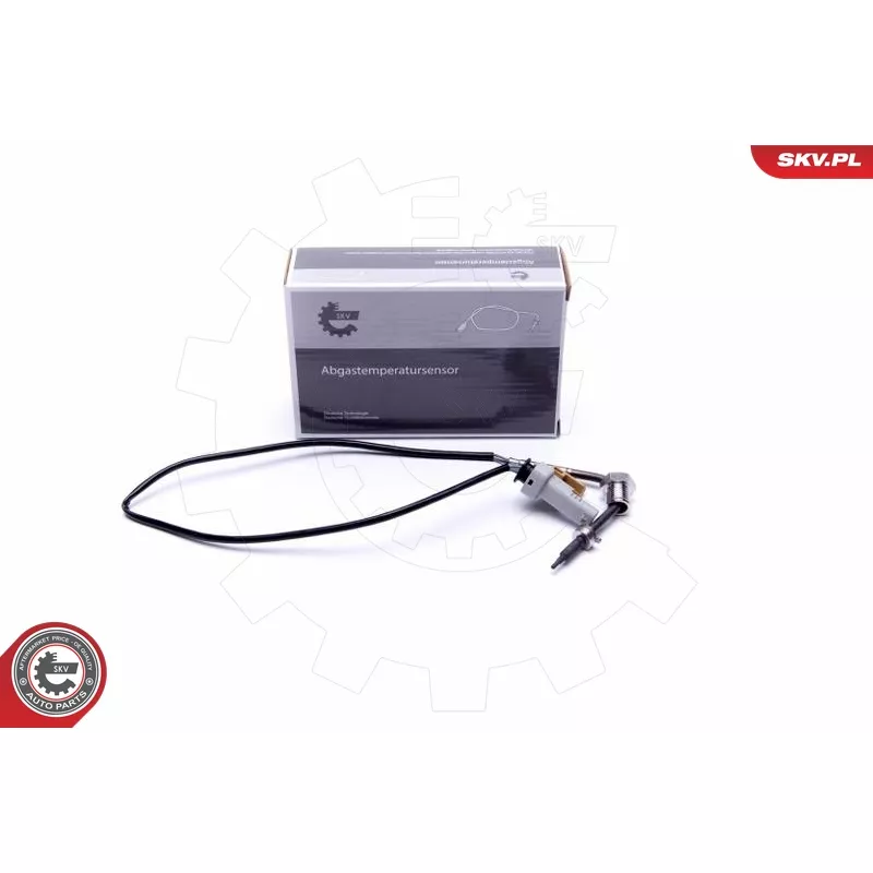 Capteur, température des gaz ESEN SKV 30SKV439