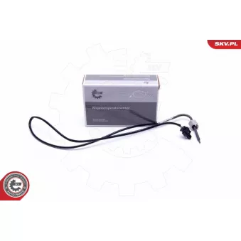 Capteur, température des gaz ESEN SKV 30SKV441