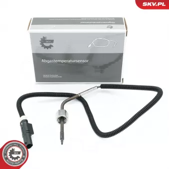 Capteur, température des gaz ESEN SKV 30SKV462